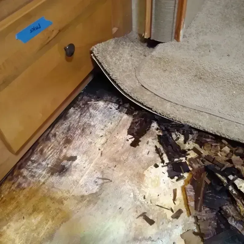 Wood Floor Water Damage in Greensboro, MD